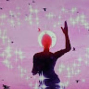 Meet your Posher, Lucas